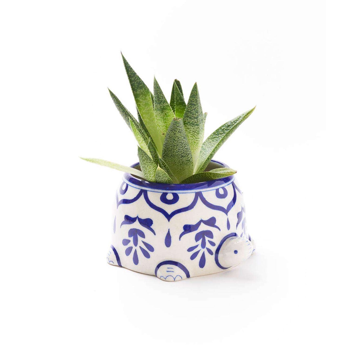  Matr Boomie 3.5 In. H X 5.5 In. W X 6 In. D Clay Mama Turtle Succulent Pot Multicolored
