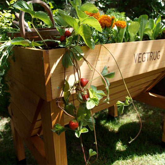  VegTrug VegTrug Classic 31.5 In. H X 40.7 In. W X 30 In. D Wood VegTrug Classic Planter Natural