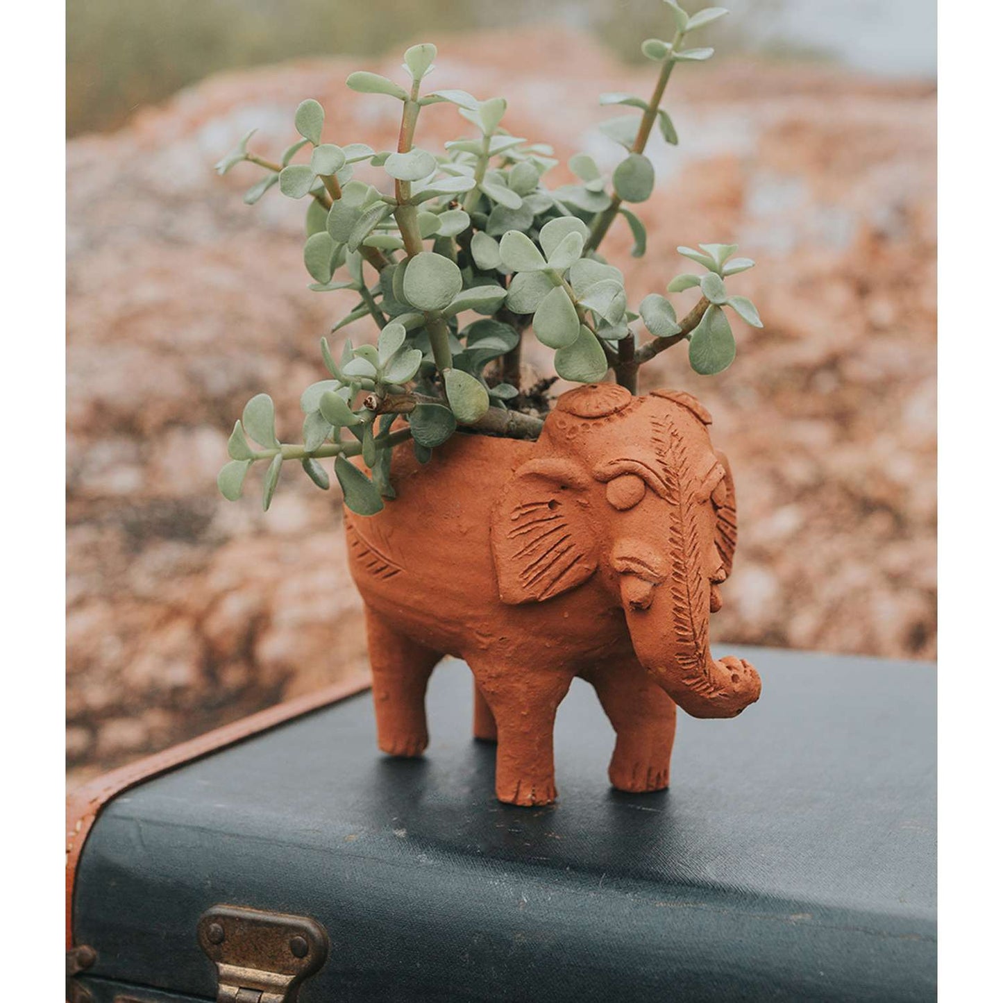  Matr Boomie Rakshana 5 In. H X 4 In. W X 4 In. D Clay Elephant Planter Terracotta