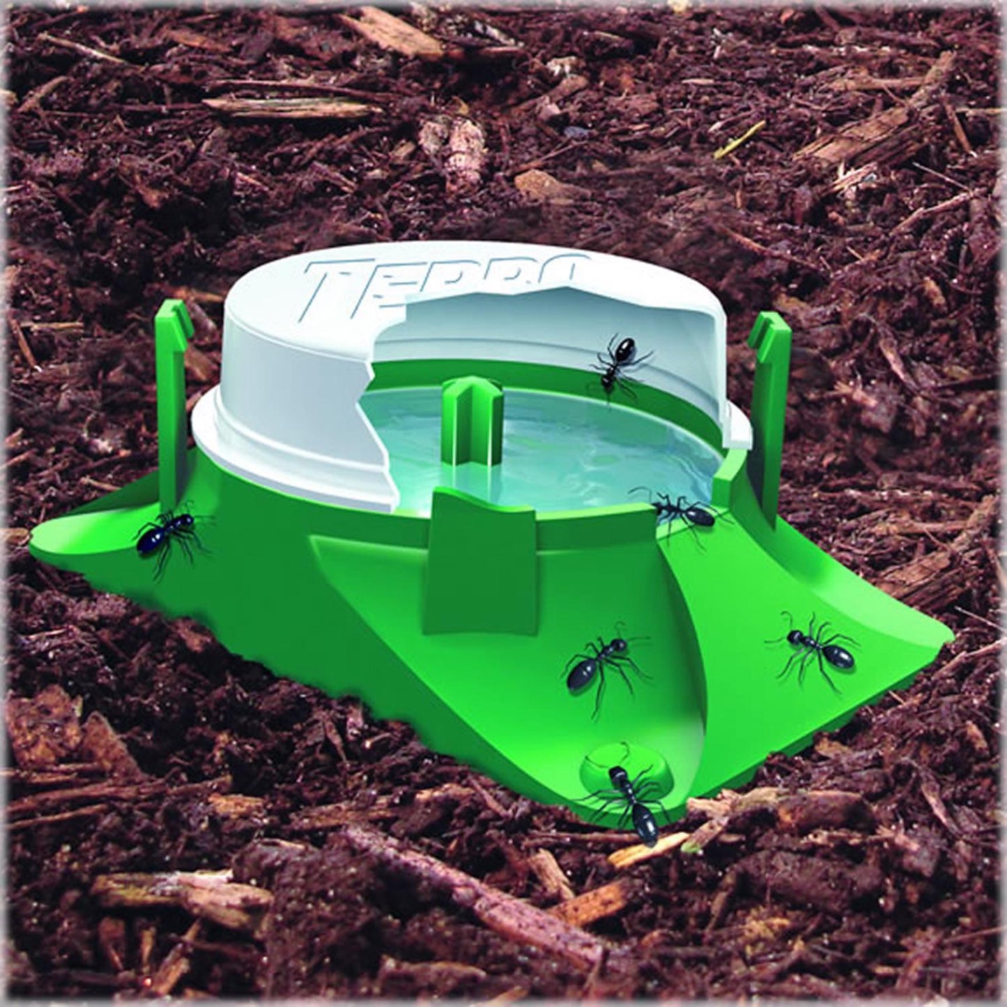  TERRO Ant Bait 4 Pk