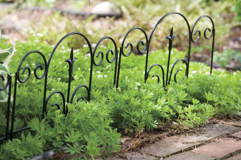  Panacea 16 In. L X 18 In. H Steel Black Garden Fence