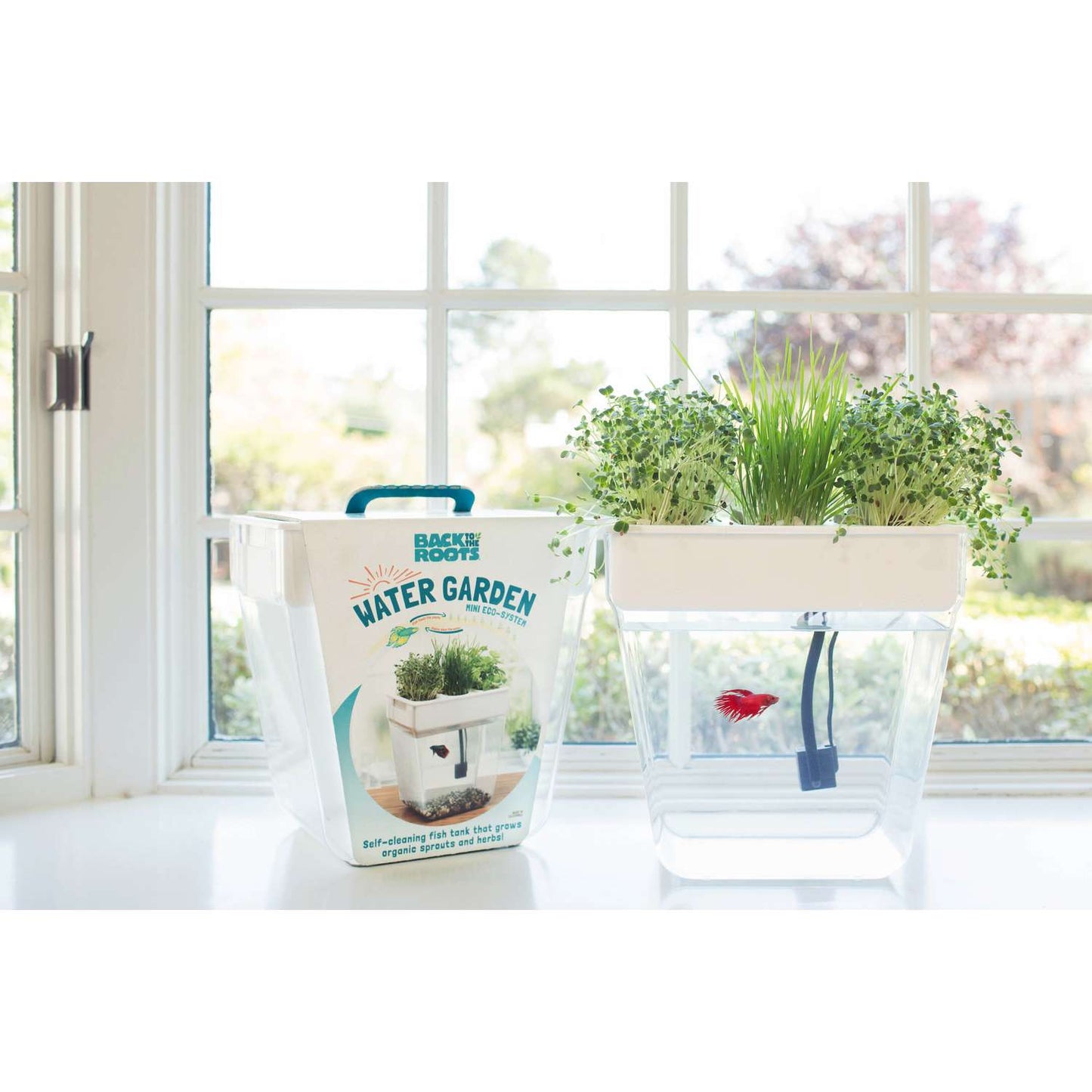  Back To The Roots Water Garden Assorted Flower And Herb Grow Kit 1 Pk