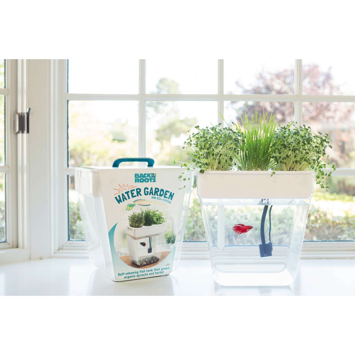  Back To The Roots Water Garden Assorted Flower And Herb Grow Kit 1 Pk