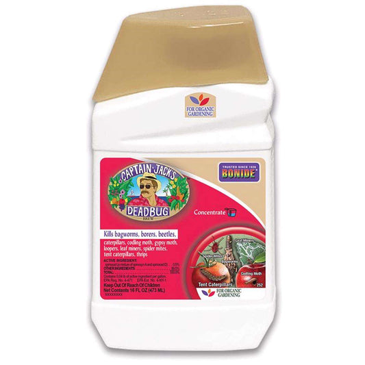  Bonide Captain Jacks Deadbug Brew Organic Insect Killer Liquid Concentrate 16 Oz