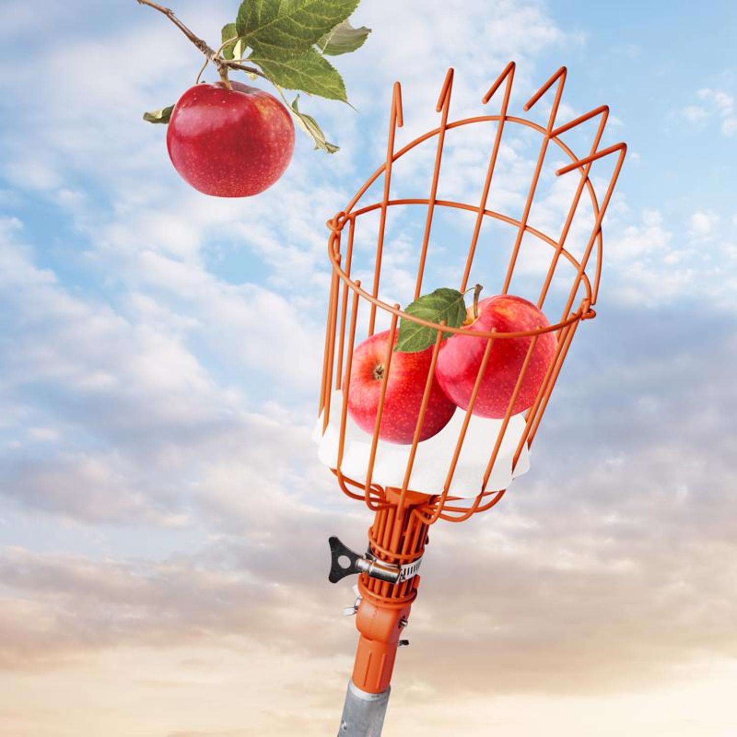  EZ Smart Tools 13 In. Steel Fruit Picker