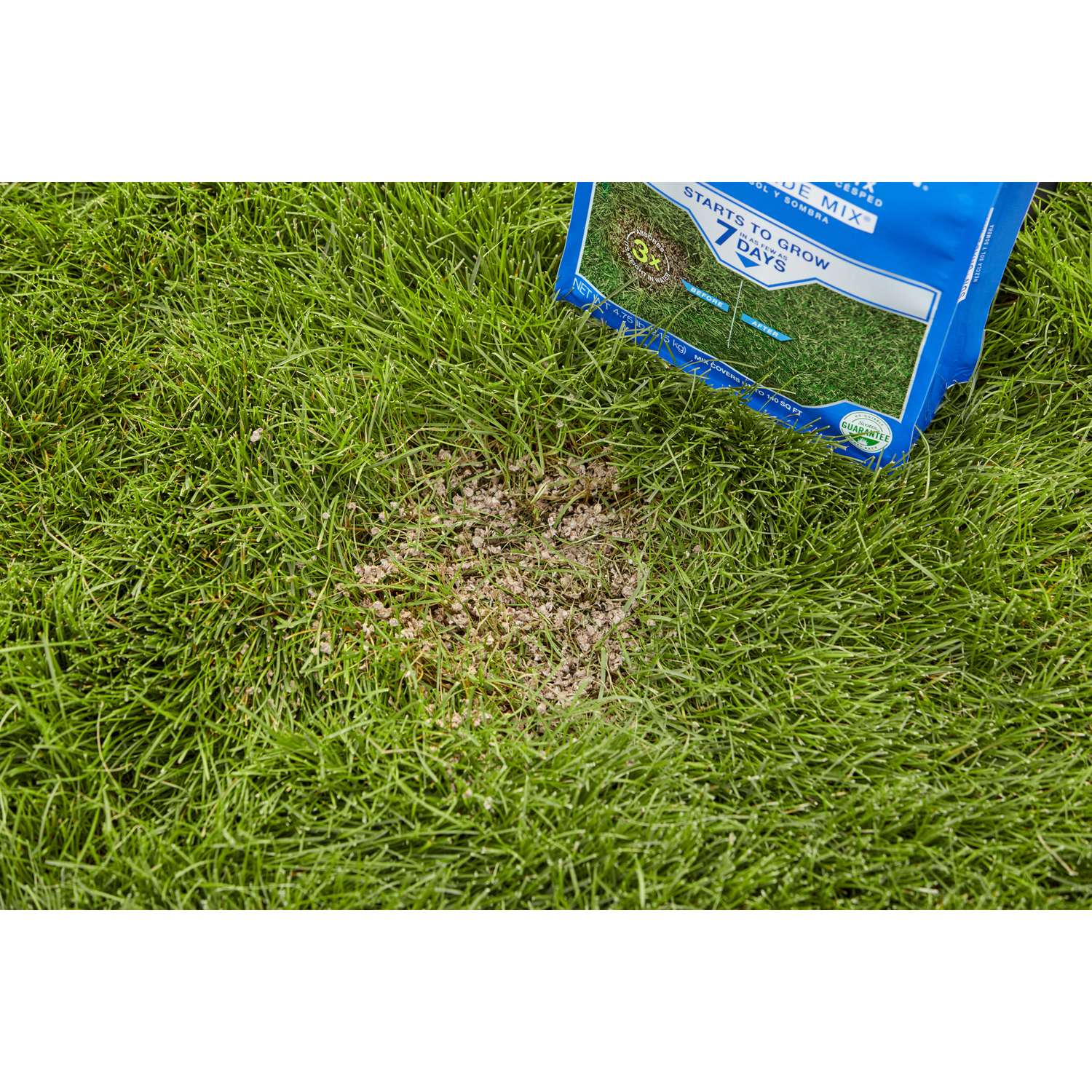  Scotts PatchMaster Mixed Sun Or Shade Grass Spot Repair Seed 4.75 Lb