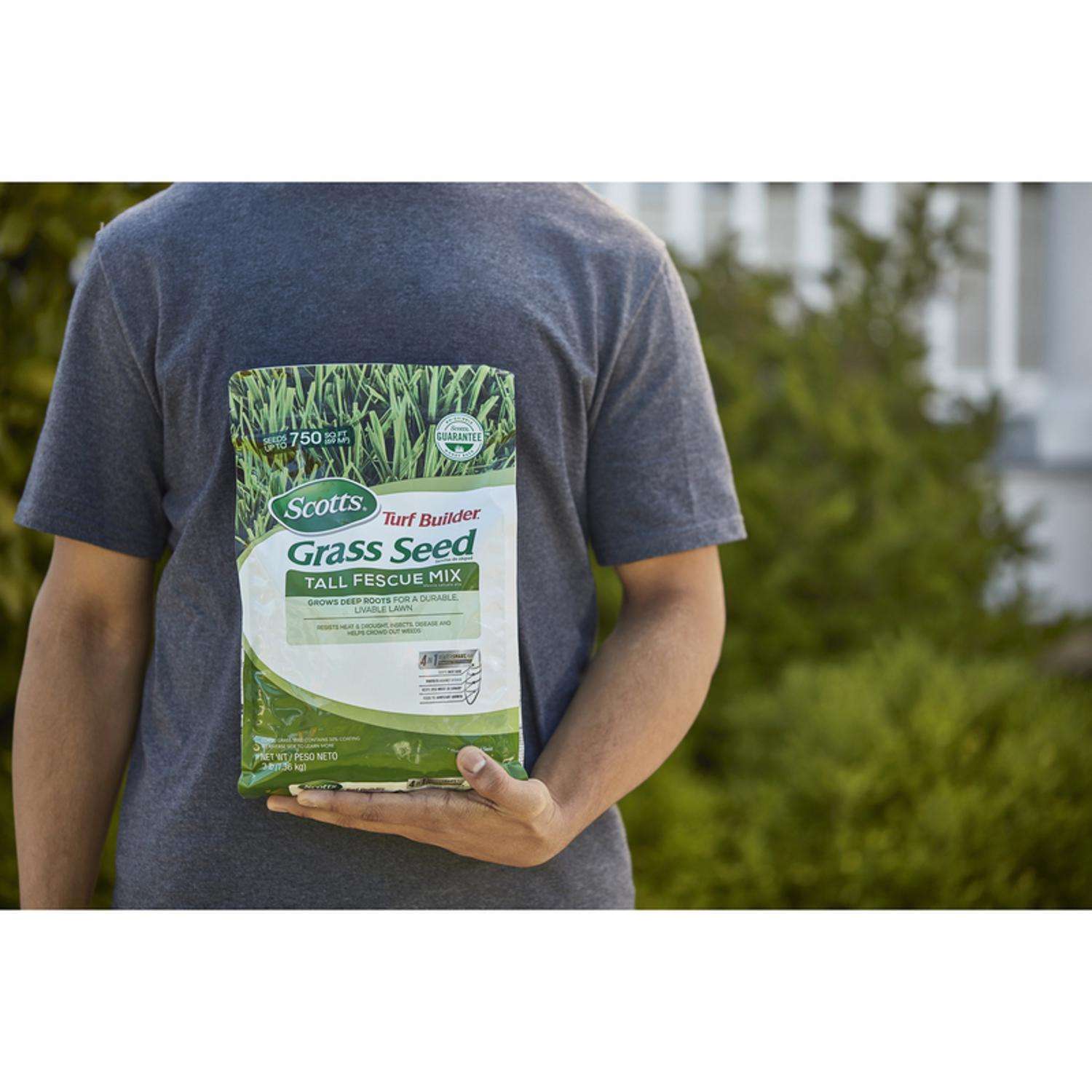  Scotts Turf Builder Tall Fescue Grass Sun Or Shade Grass Seed 3 Lb