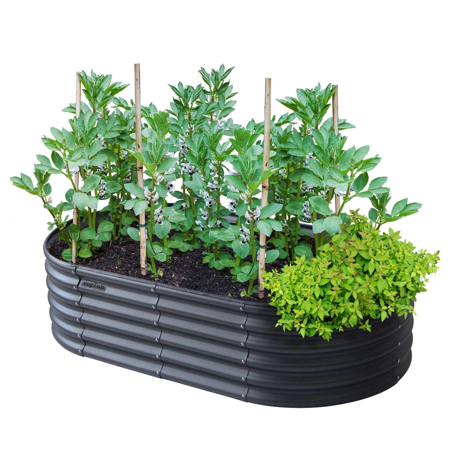 VegTrug 17.71 In. H X 36.22 In. W X 36.22 In. D Steel Raised Garden Bed Rain Grey