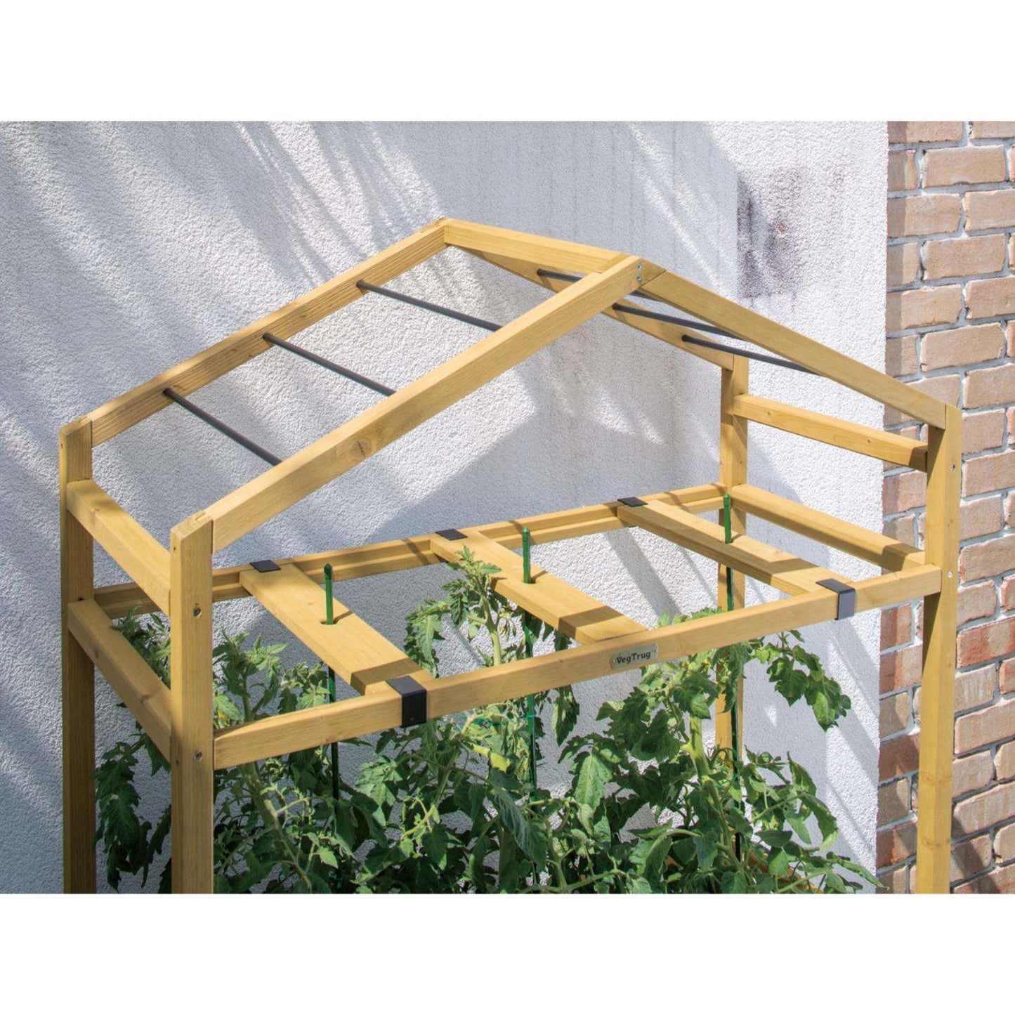  VegTrug Tomato Greenhouse Natural 65.7 In. H X 43.7 In. W Greenhouse