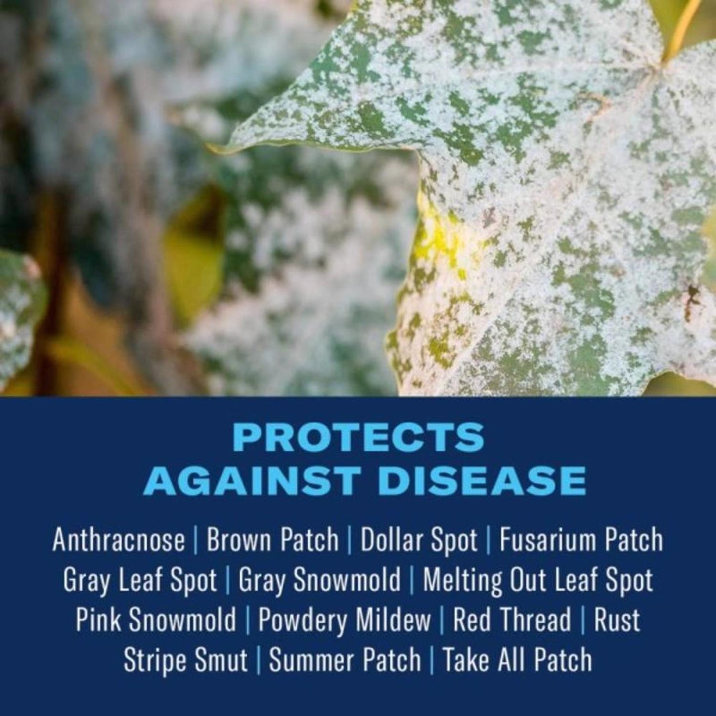  BioAdvanced Granules Fungus Control For Lawns 10 Lb