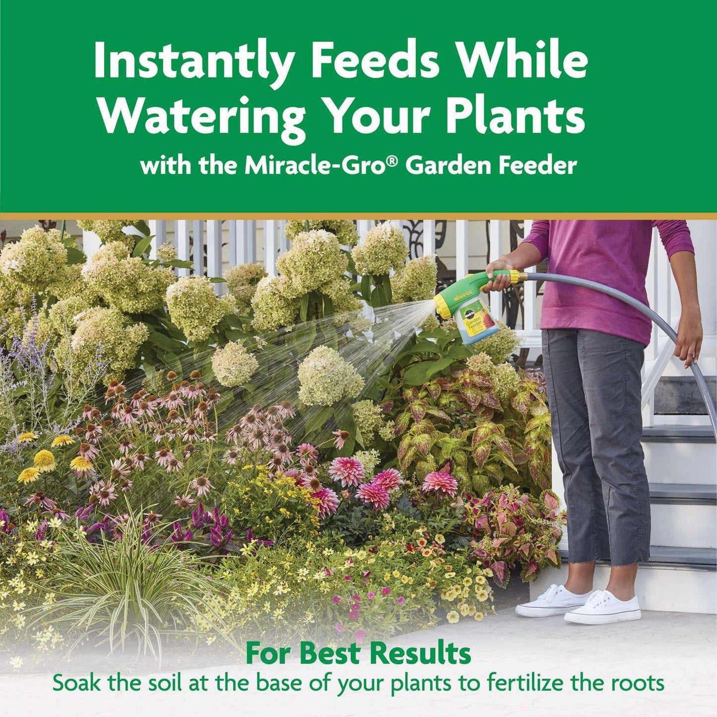  Miracle-Gro Granules All Purpose Plant Food 10 Lb
