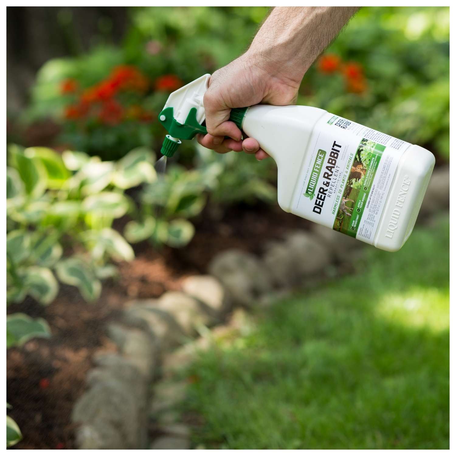  Liquid Fence Animal Repellent Spray For Deer And Rabbits 32 Oz