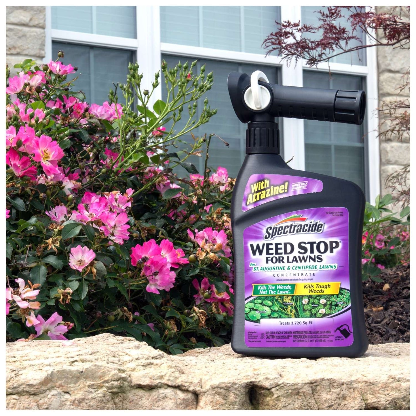  Spectracide Weed Stop Weed Killer RTS Hose-End Concentrate 32 Oz