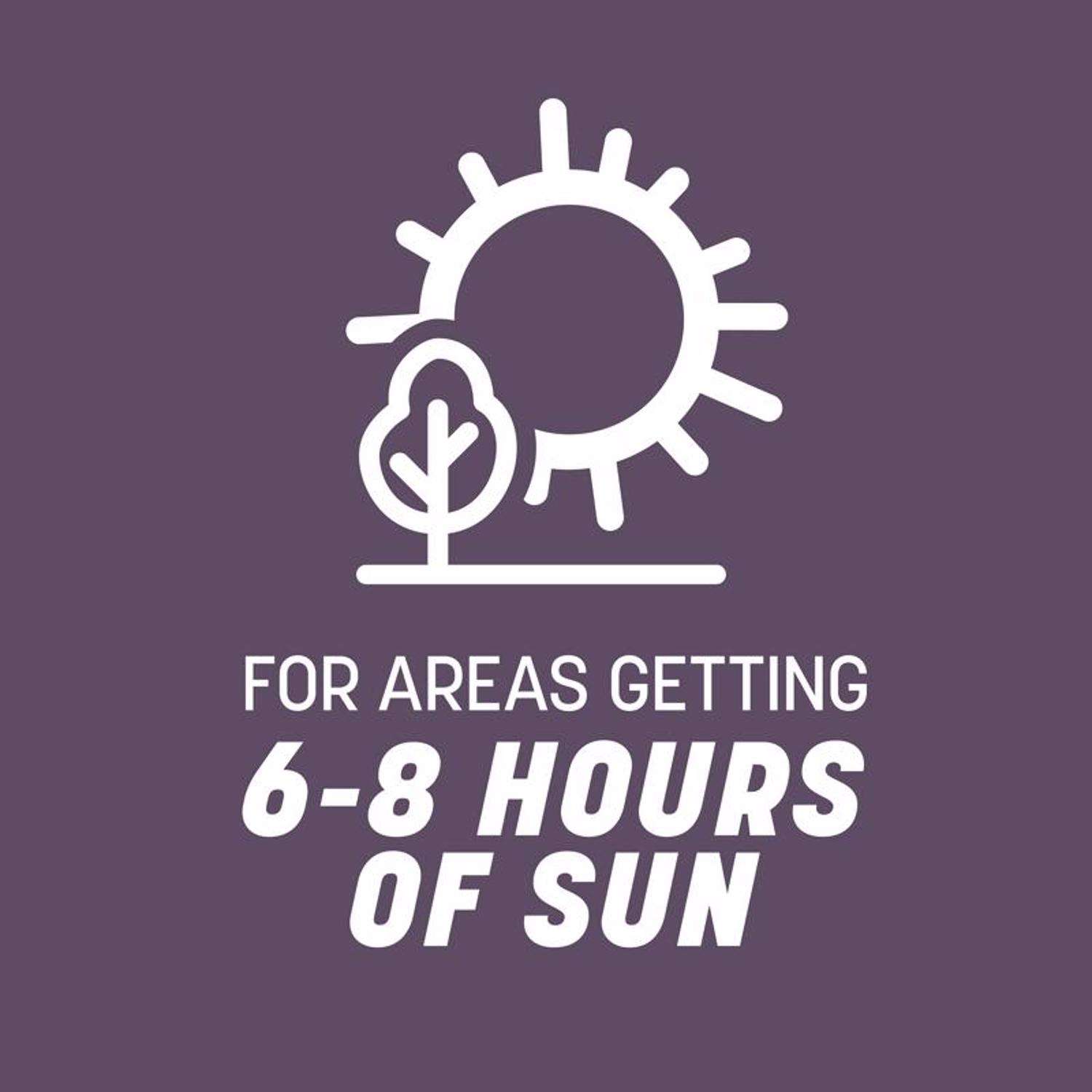  Pennington Annual Ryegrass Full Sun/Light Shade Grass Seed 50 Lb