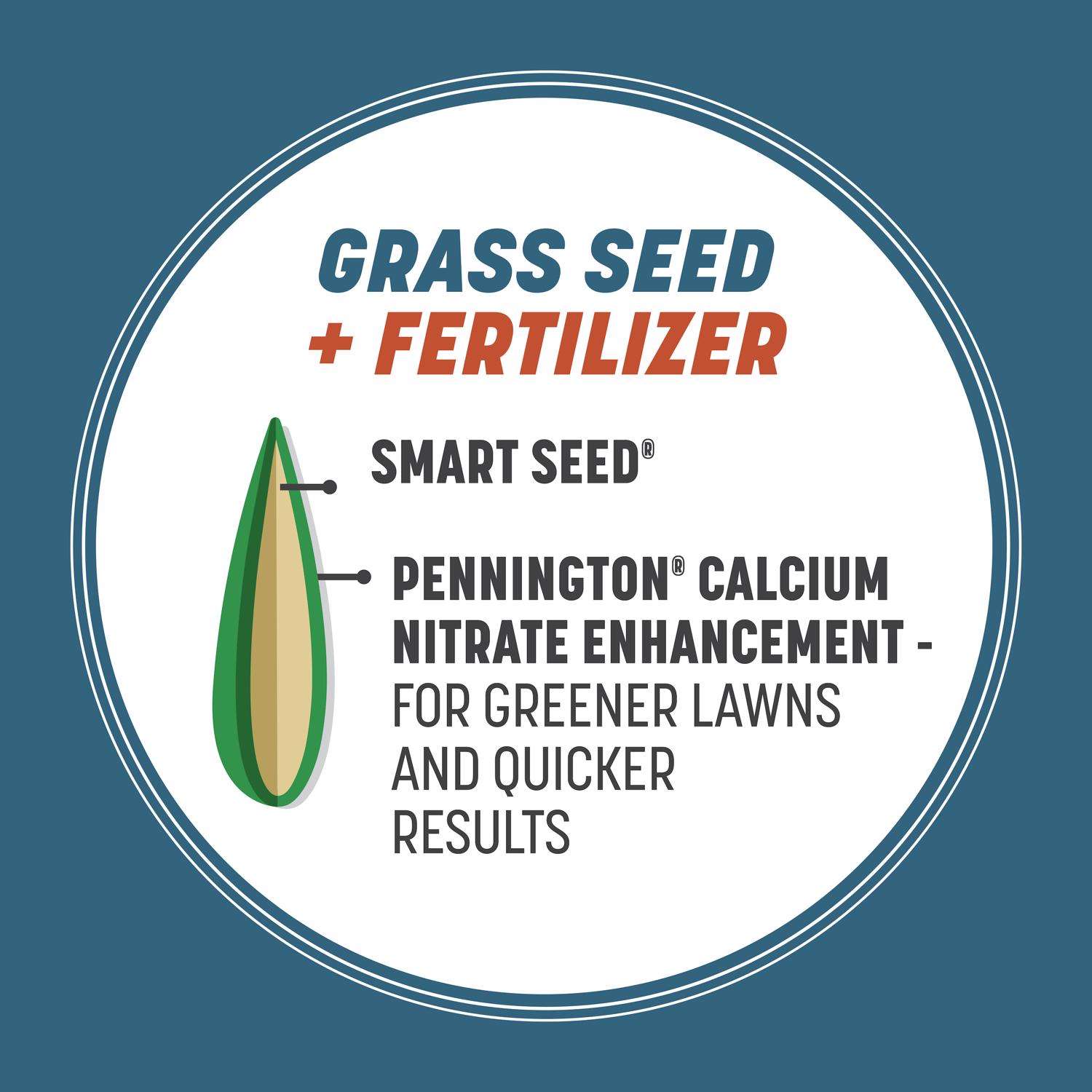  Pennington Smart Seed Pennsylvania State Mixed Sun Or Shade Grass Seed And Fertilizer 3 Lb