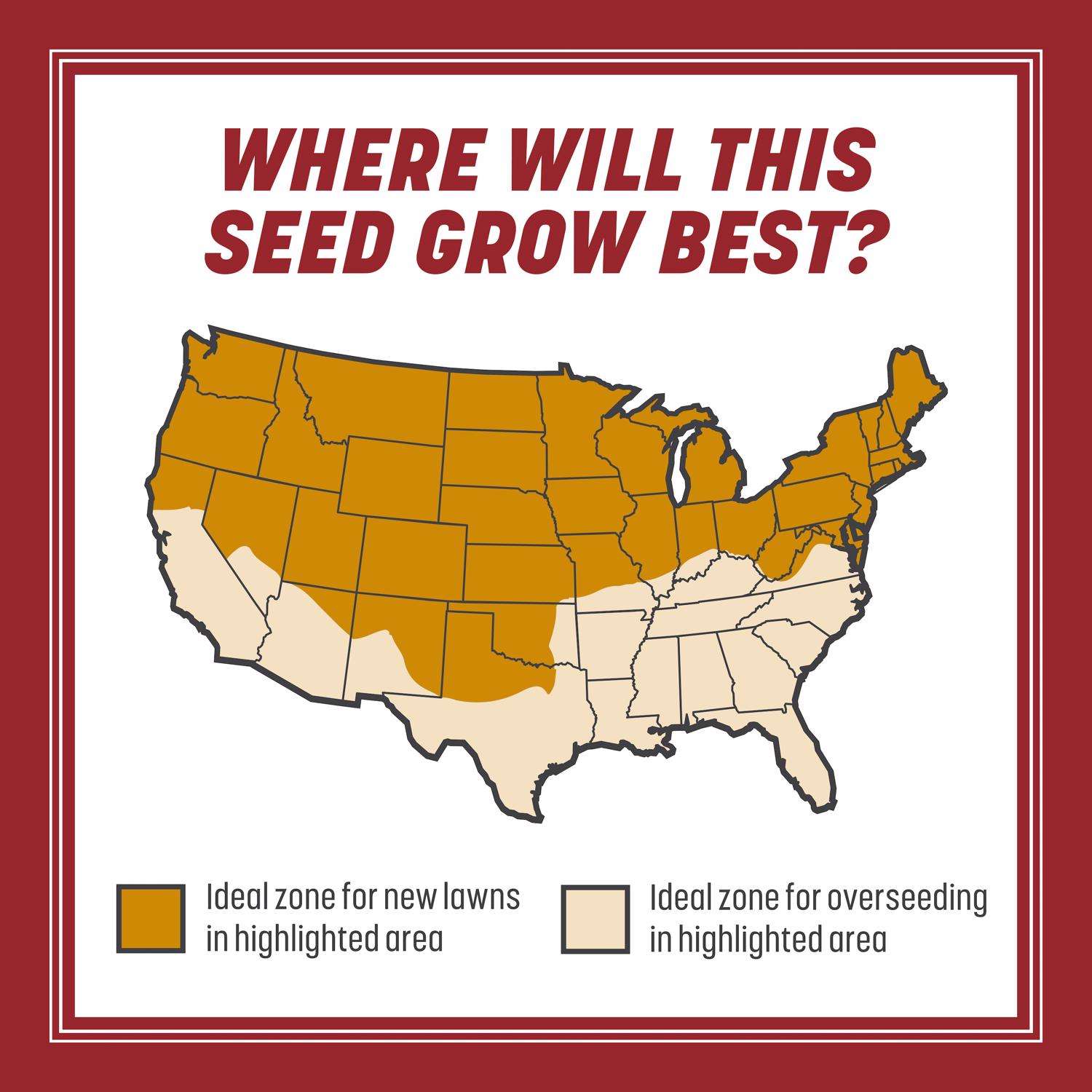  Pennington Smart Seed Perennial Ryegrass Sun Or Shade Grass Seed And Fertilizer 3 Lb