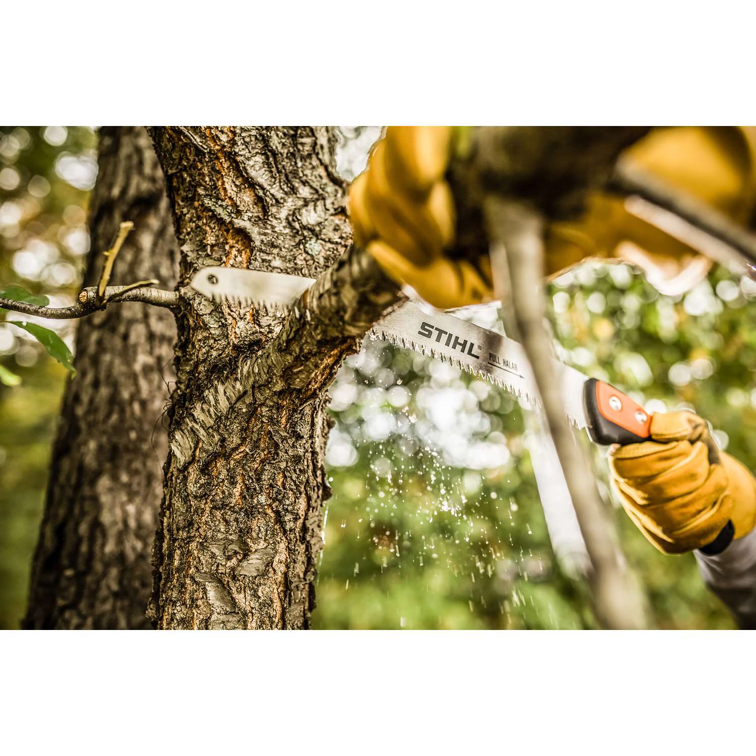  STIHL Aboriculture PS 70 Chemical Nickel Curved Pruning Saw