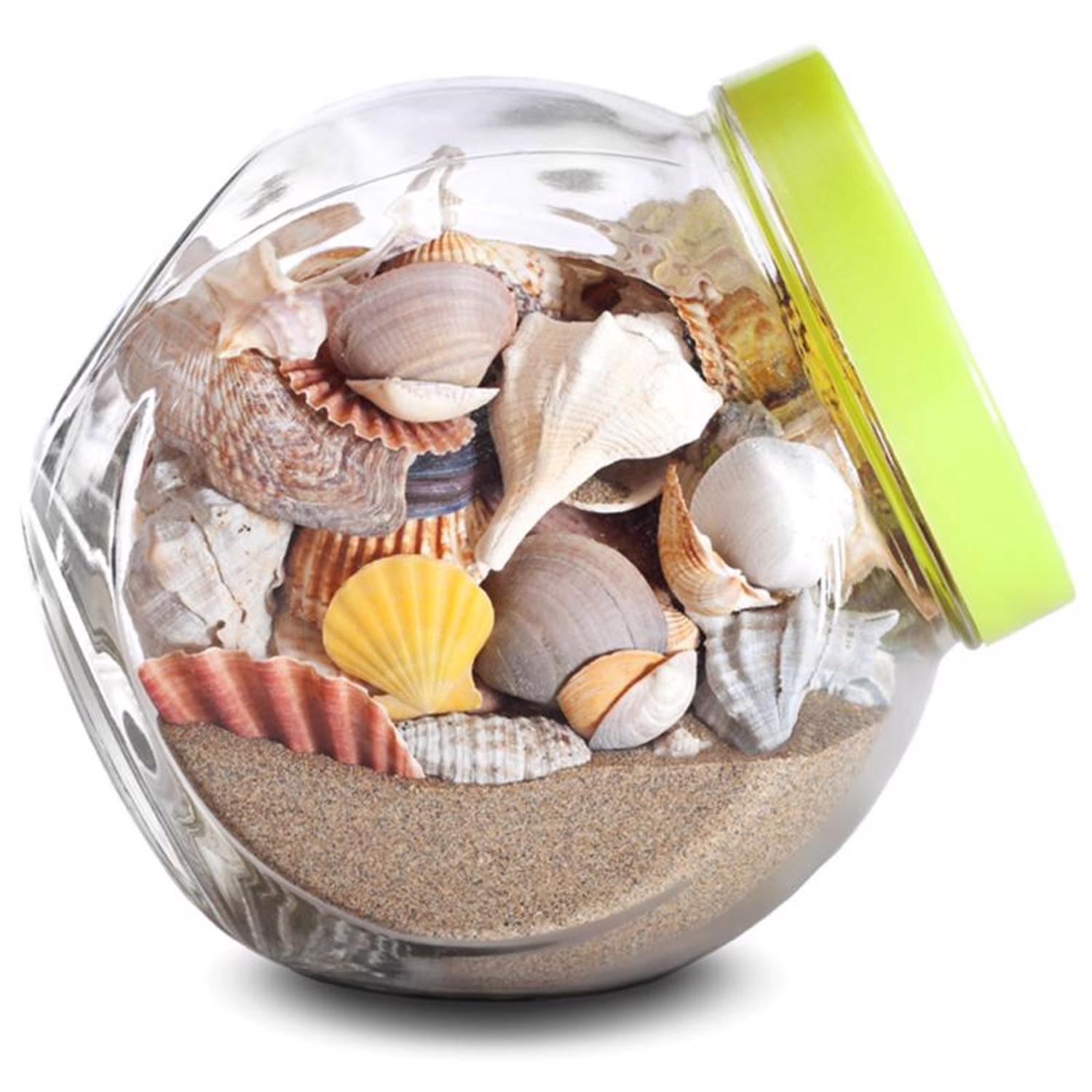  Mosser Lee Desert Sand Desert Soil Cover 5 Lb