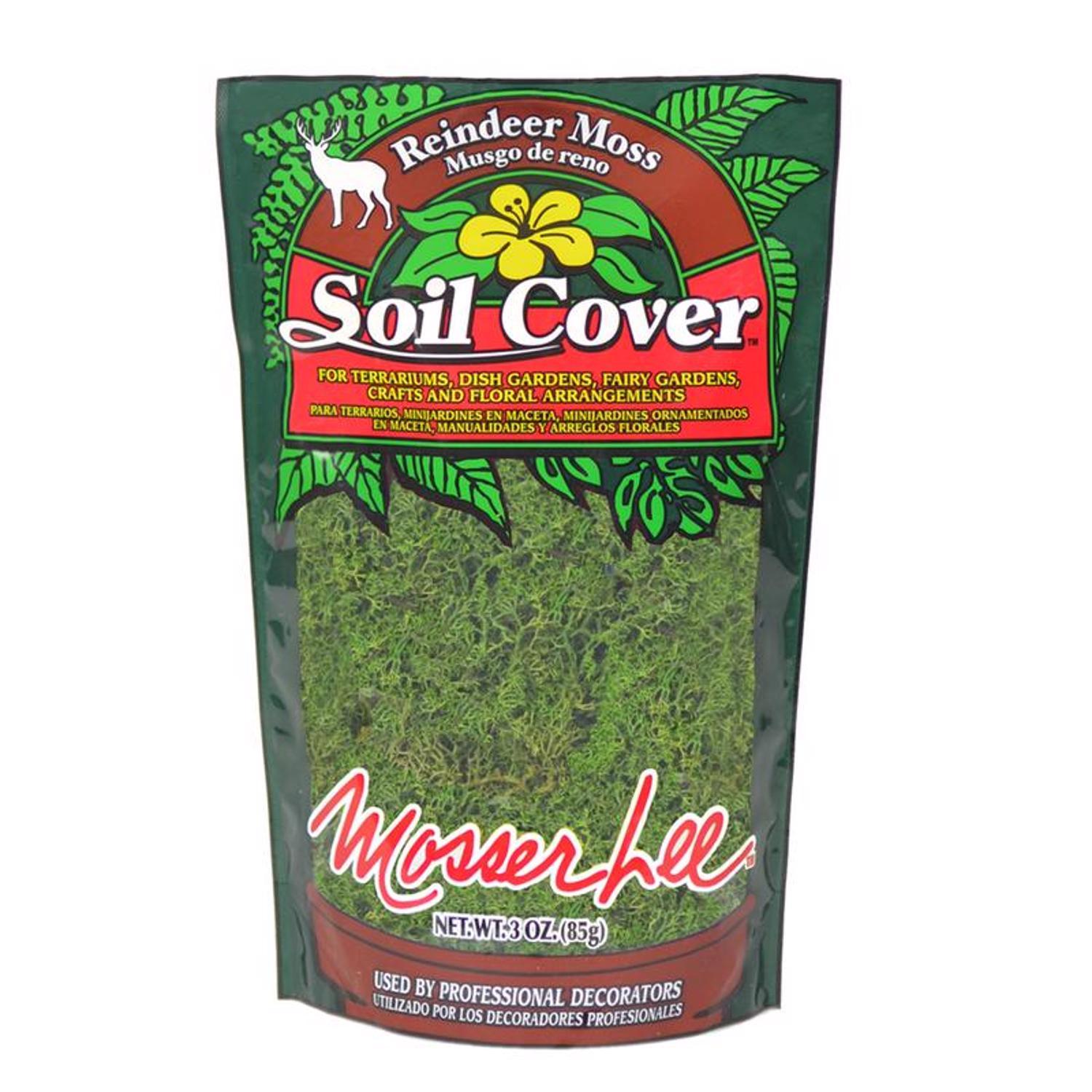  Mosser Lee Soil Cover Organic Dark Green Reindeer Moss 3 Oz