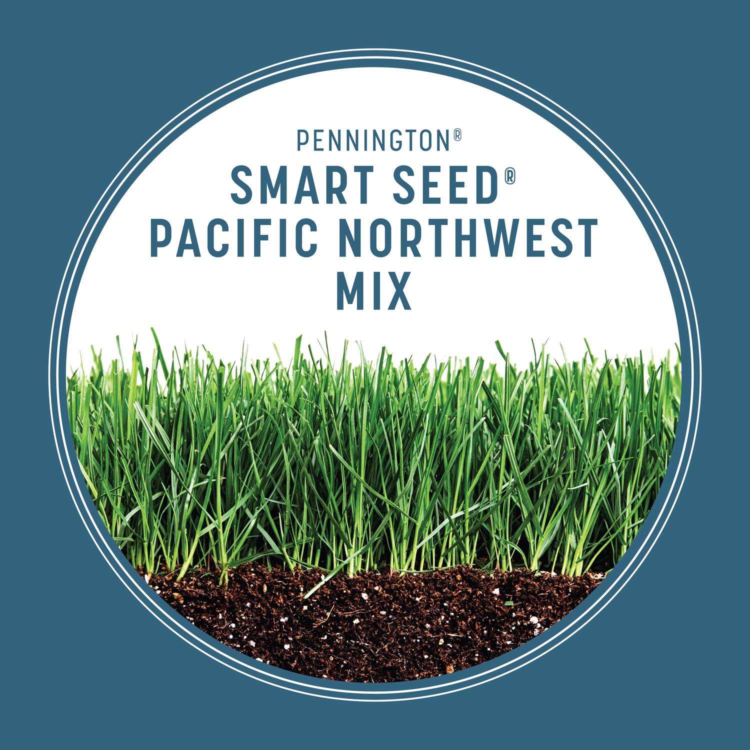  Pennington Smart Seed Mixed Sun Or Shade Grass Seed And Fertilizer 3 Lb