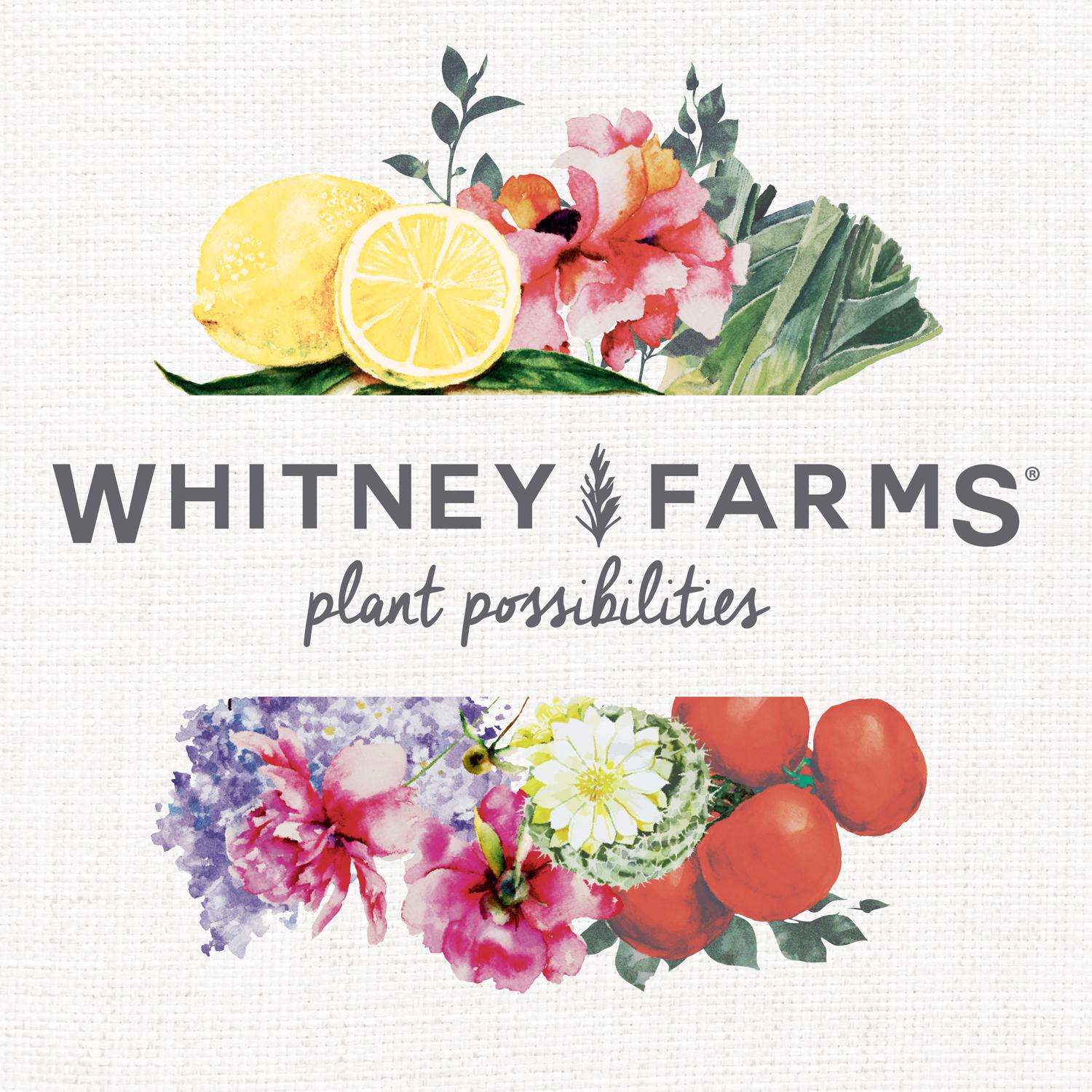  Whitney Farms Organic All Purpose Potting Soil 1.5 Cu Ft