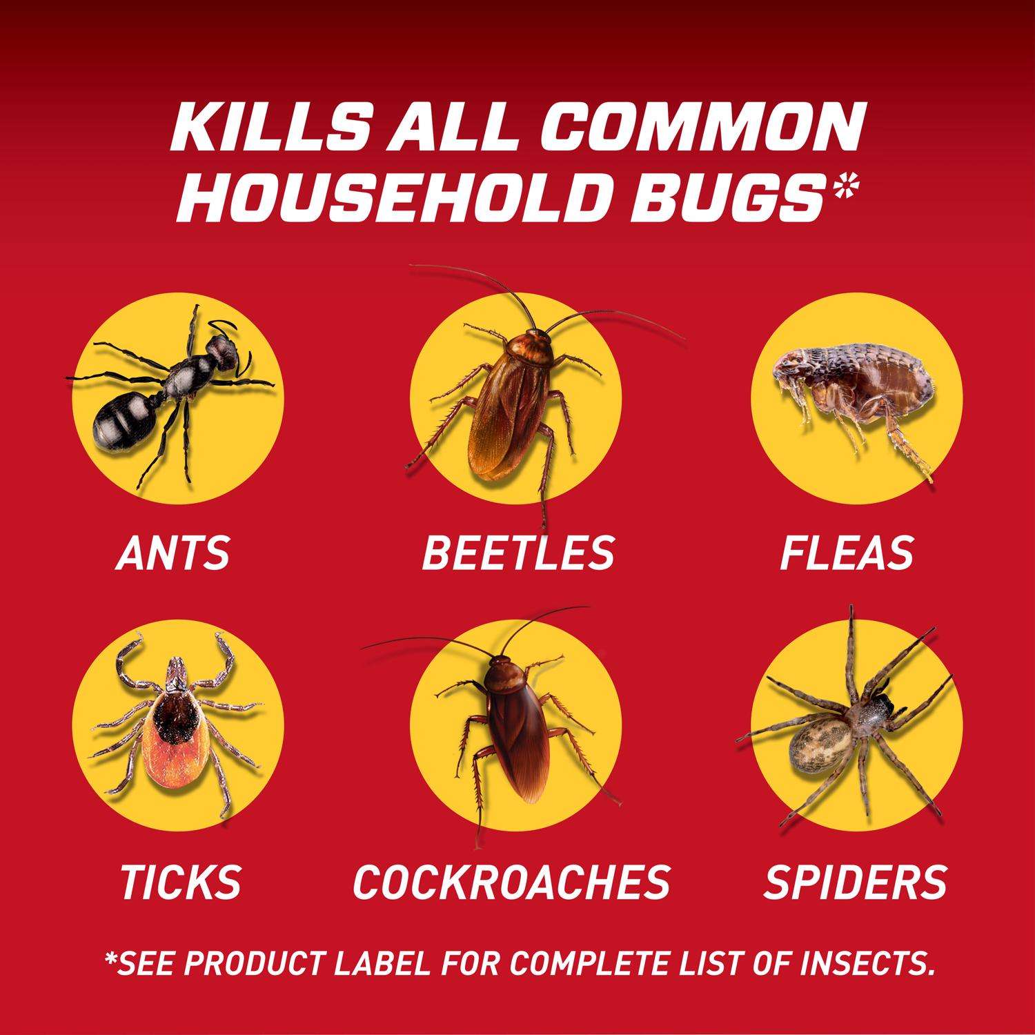  Ortho Home Defense Insect Killer Liquid 1.1 Gal