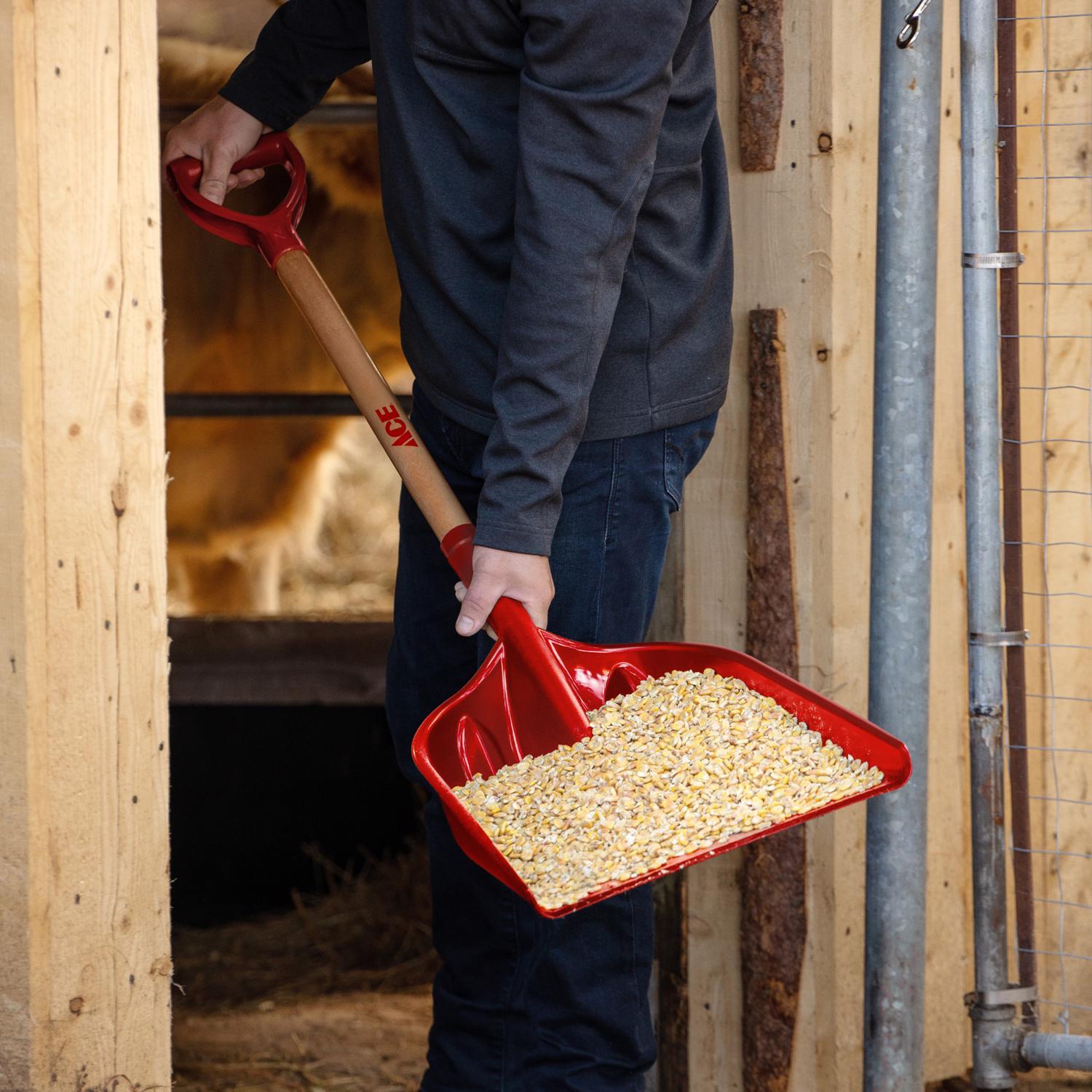  Ace Red Grain Scoop