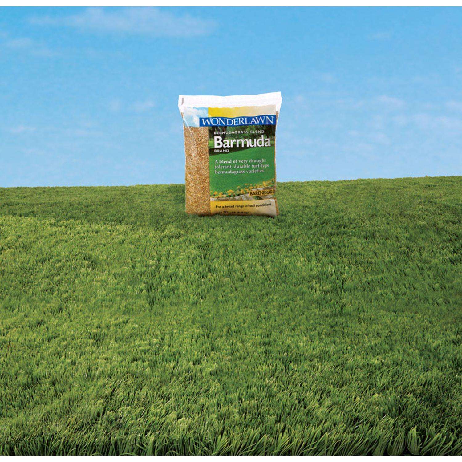  Barenbrug Wonderlawn Bermuda Grass Full Sun Grass Seed 1 Lb
