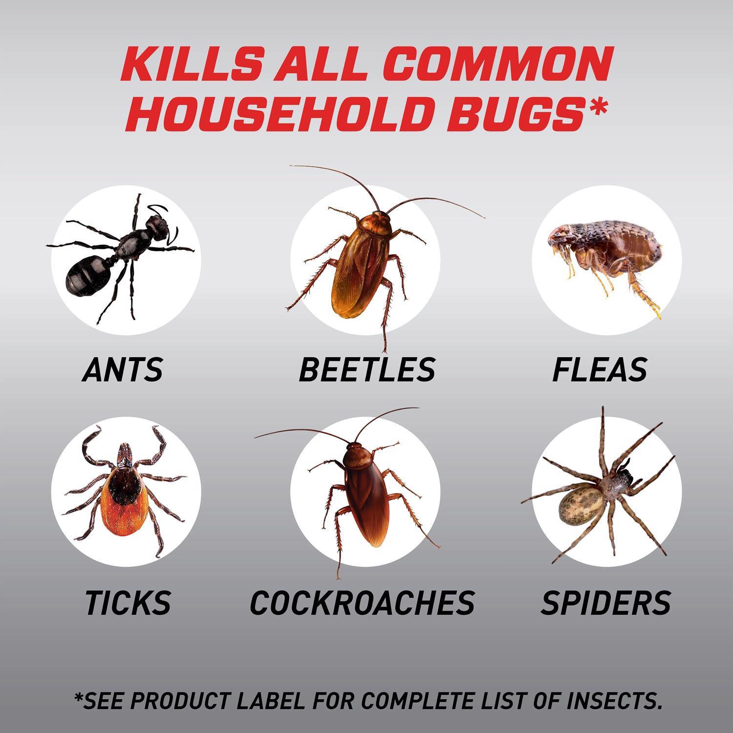  Ortho Home Defense Max Insect Killer Liquid 1 Gal
