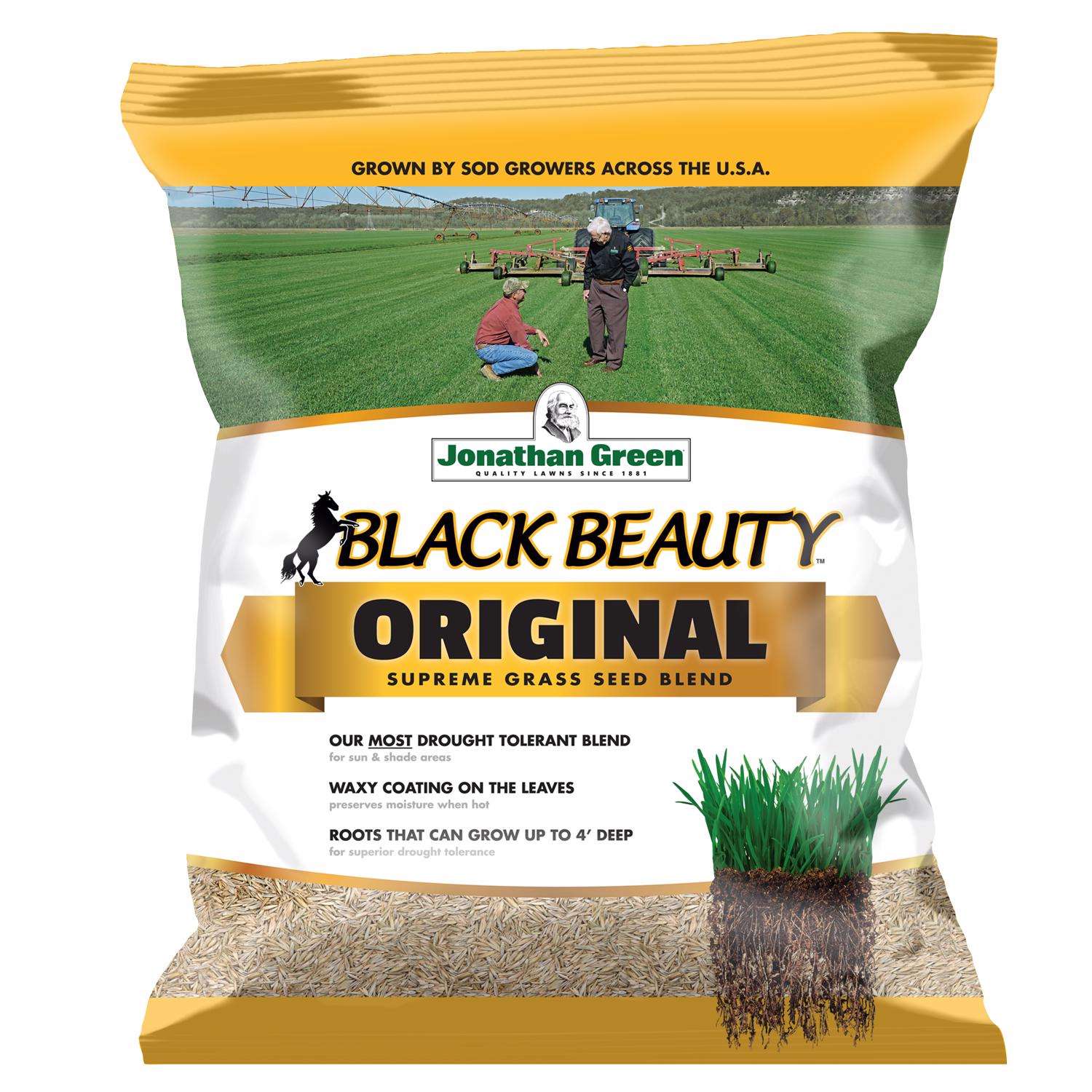  Jonathan Green Black Beauty Original Tall Fescue Grass Sun Or Shade Grass Seed 5 Lb