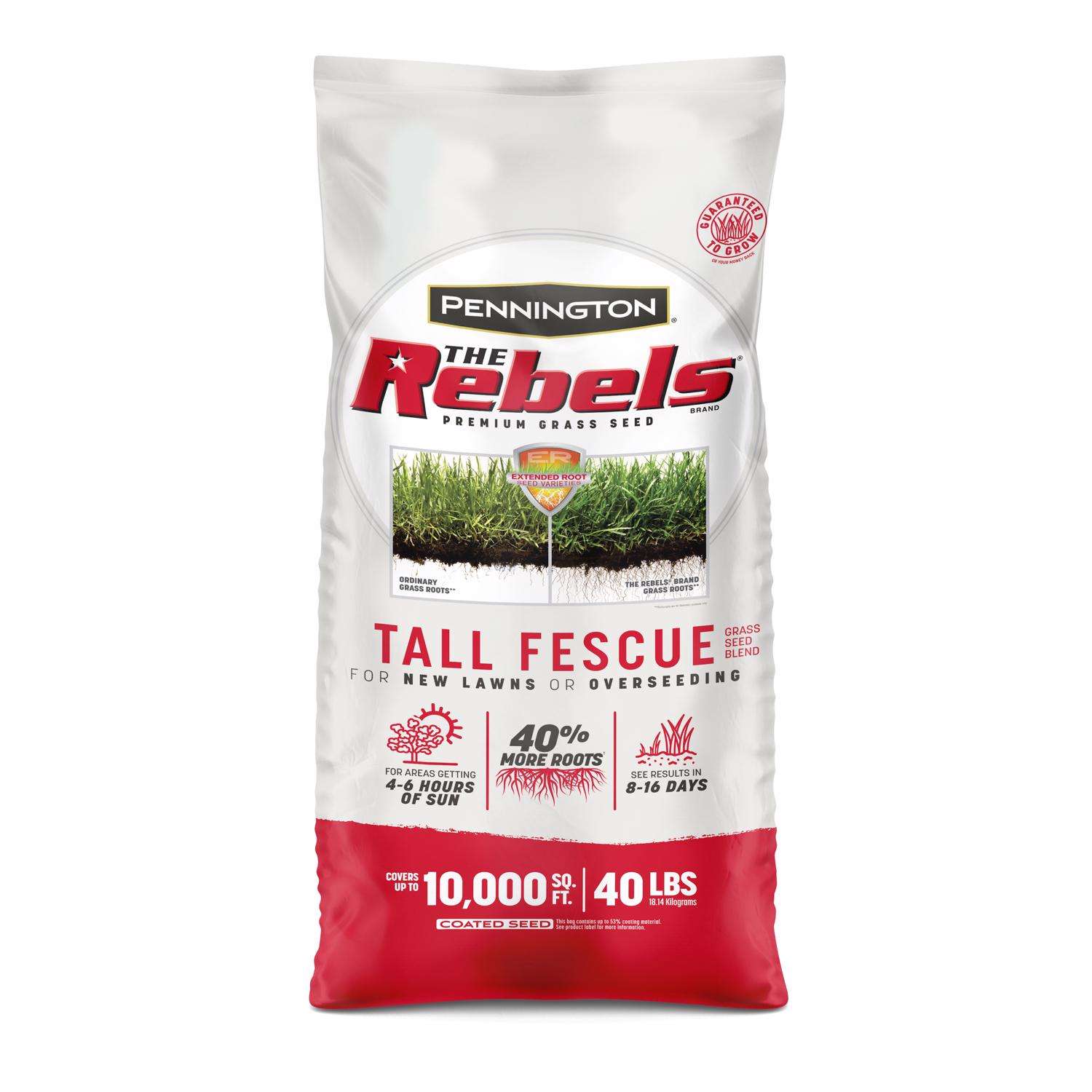  Pennington The Rebels Tall Fescue Grass Sun Or Shade Grass Seed 40 Lb