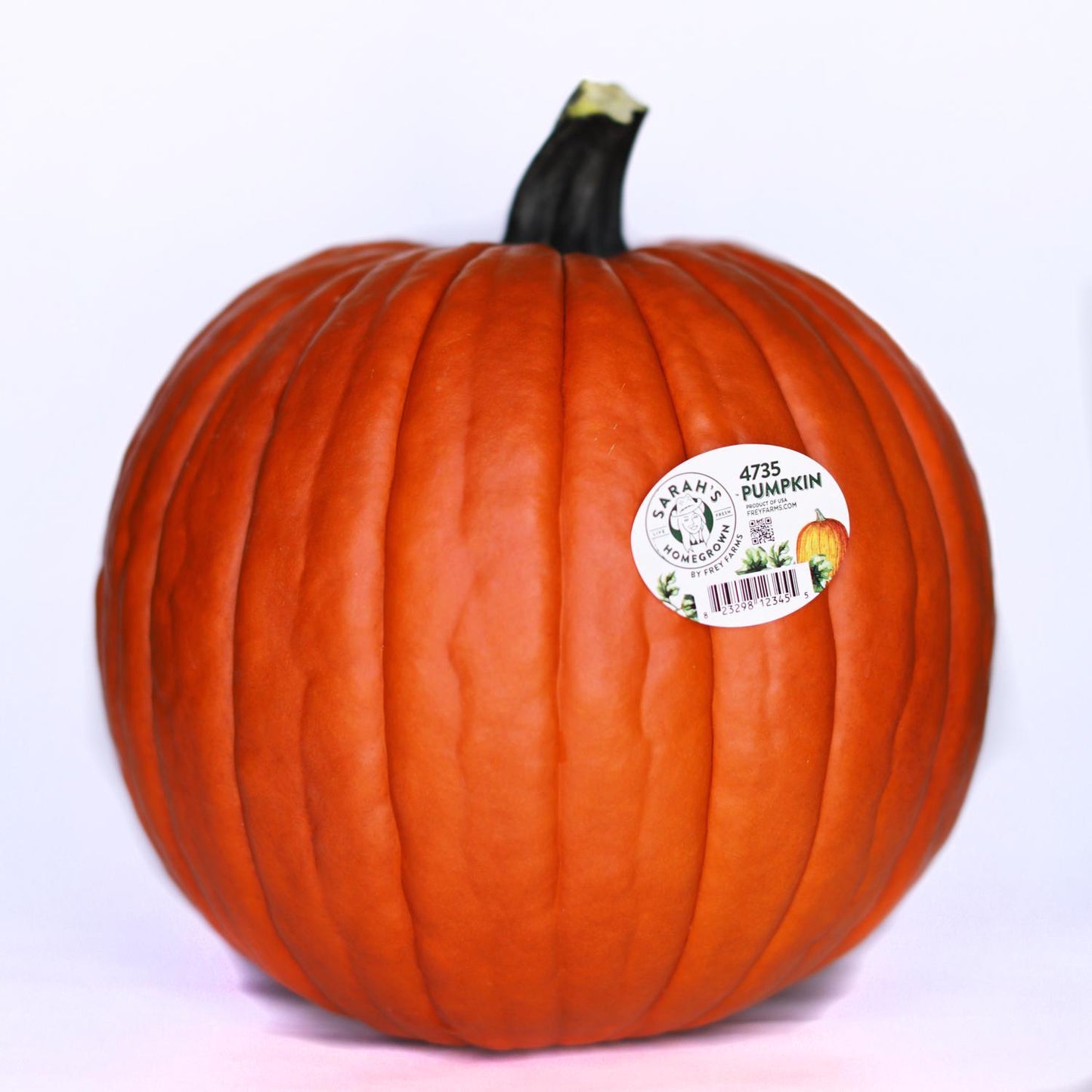  Frey Farms Sarah's Home Grown Orange Pumpkin