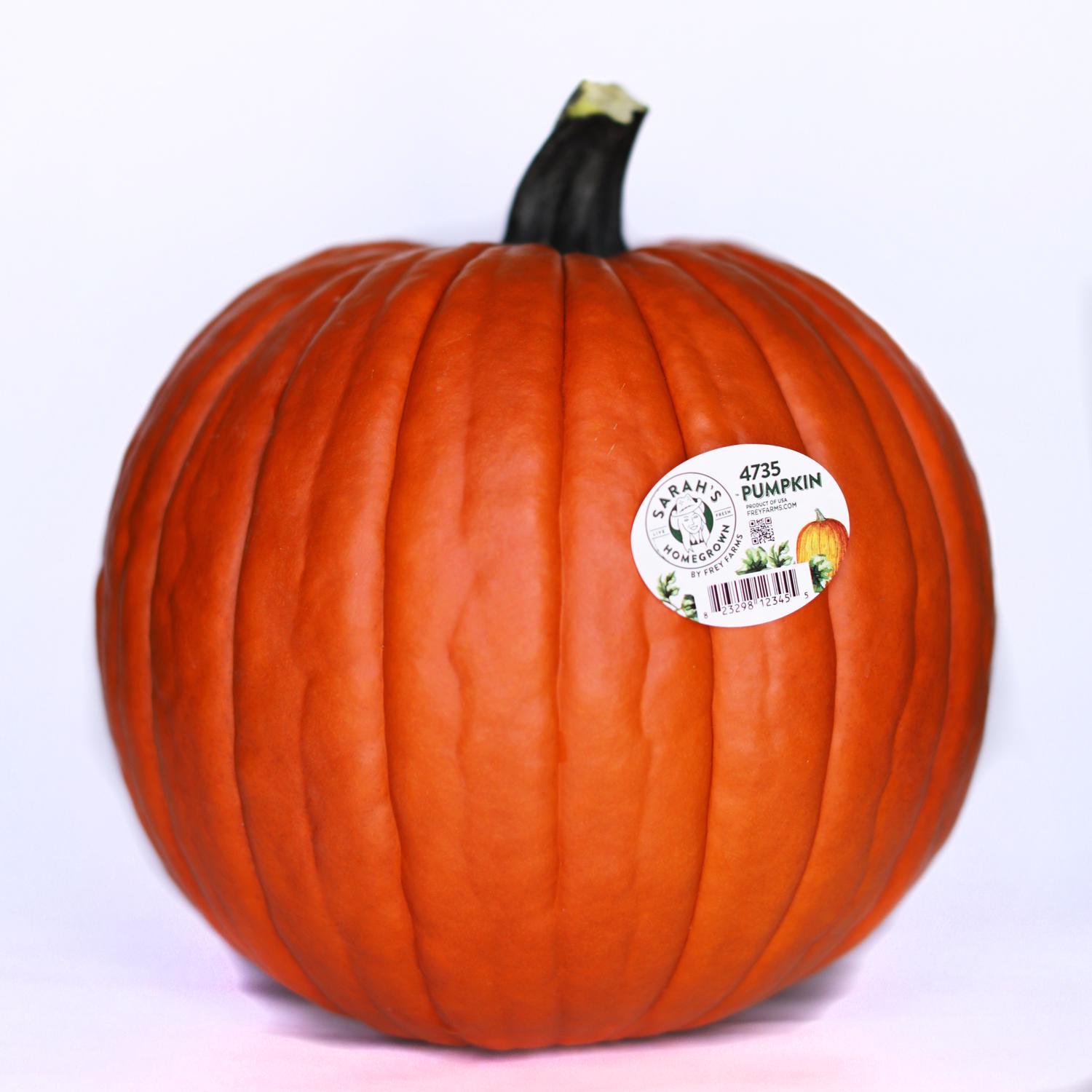  Frey Farms Sarah's Home Grown Orange Pumpkin