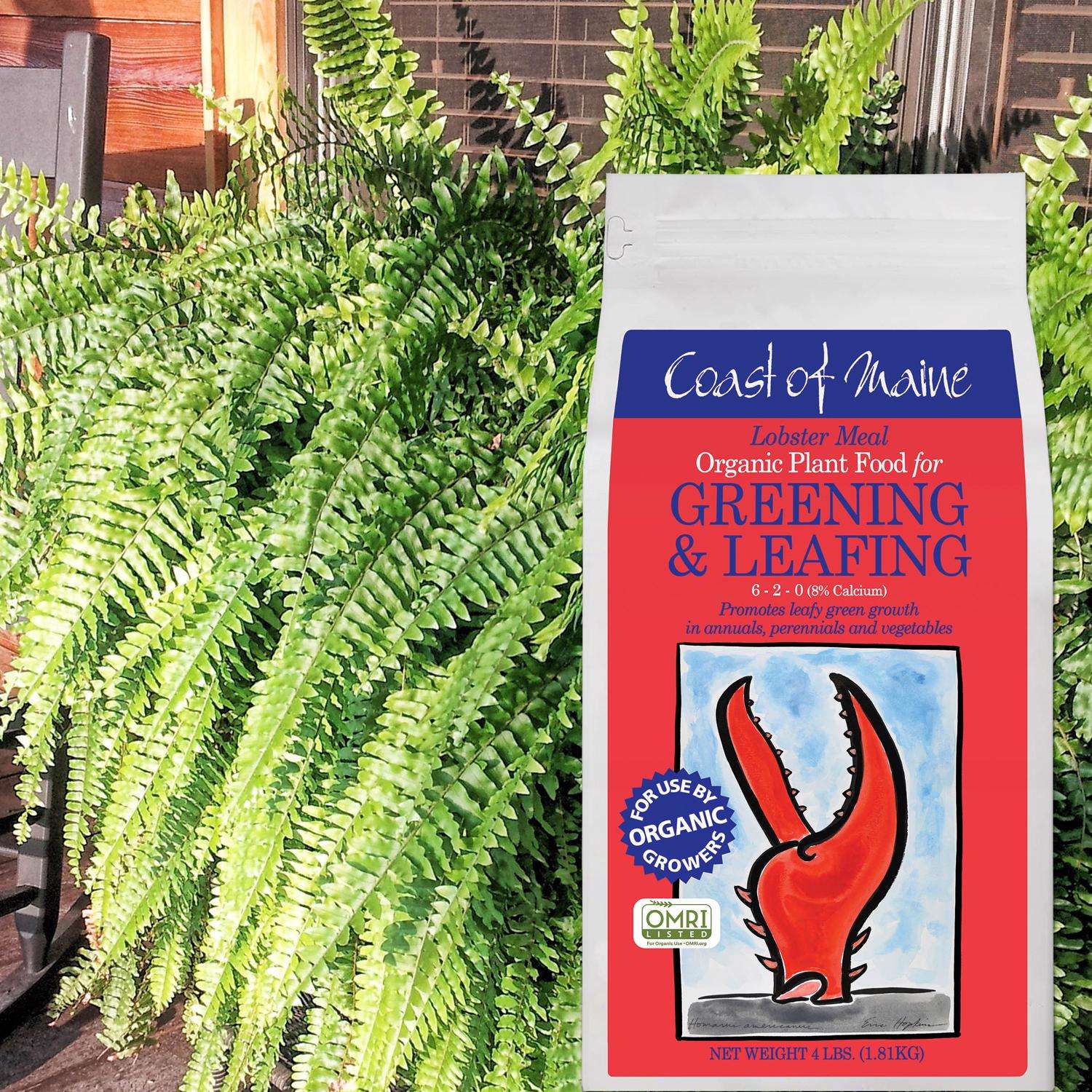  Coast Of Maine Greening & Leafing Organic Granules All Purpose Plant Food 4 Lb