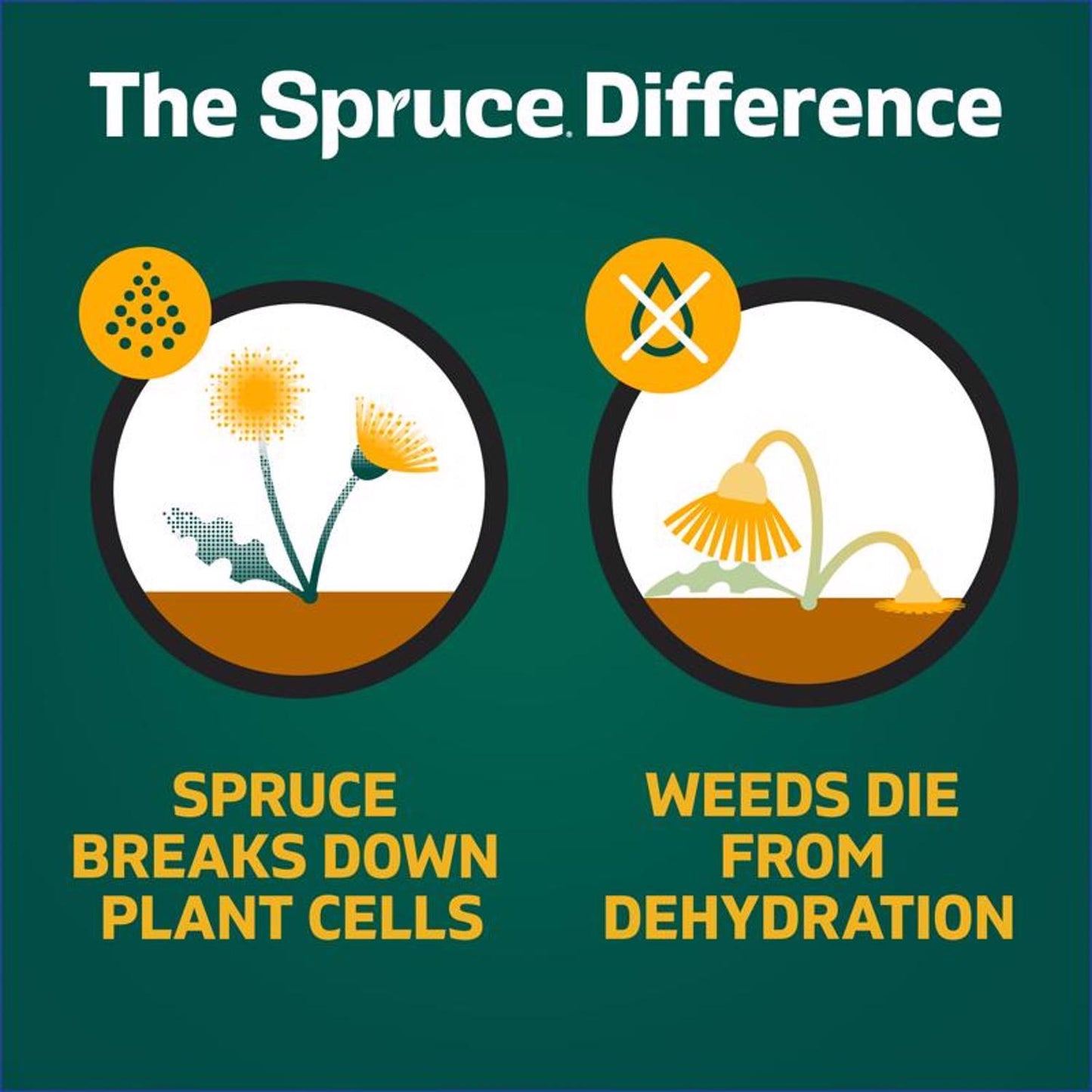  Spruce Snap & Spray Powered Weed And Grass Killer RTU Liquid 64 Fl. Oz.