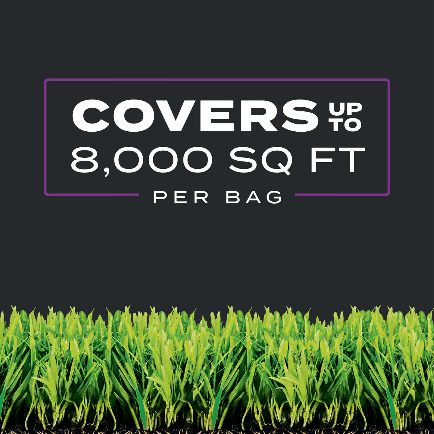  Scotts Turf Builder Southern Triple Action Weed & Feed Lawn Fertilizer For All Grasses 8000 Sq Ft