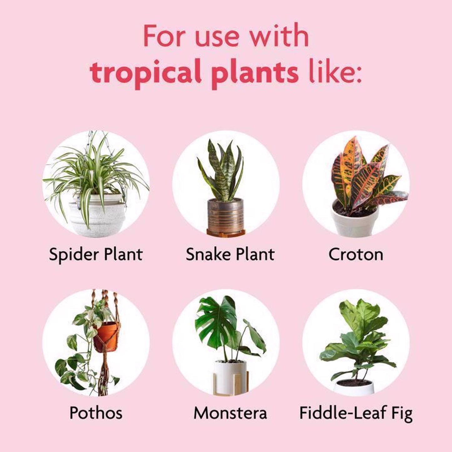  Miracle-Gro Tropical Cacti, Citrus And Palm Potting Mix 6 Qt