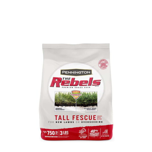  Pennington The Rebels Tall Fescue Grass Sun Or Shade Grass Seed 3 Lb